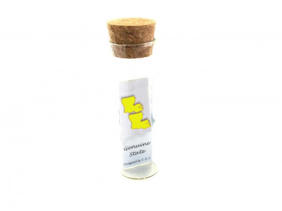 Yellow Louisiana State Map Post Earrings