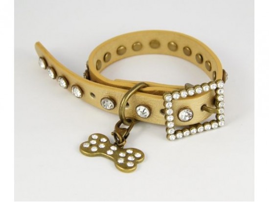 15" Gold Leather Clear Crystal Studded Dog Collar