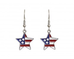 American Flag Crystal Star Hook Earrings