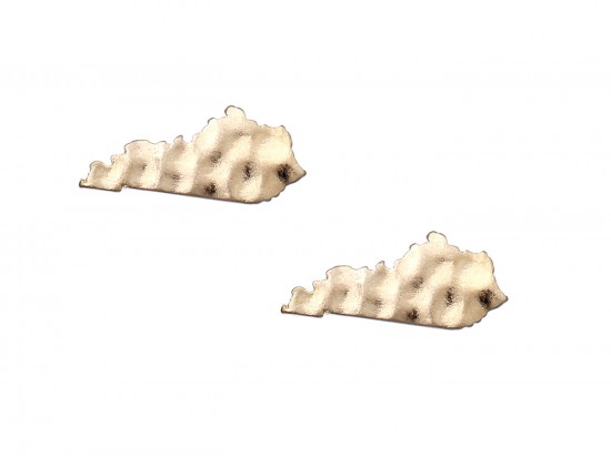 Gold Kentucky State Map Hammered Post Earring