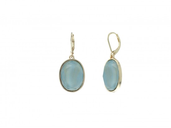 Aqua Oval Gold Euro Clip Earrings