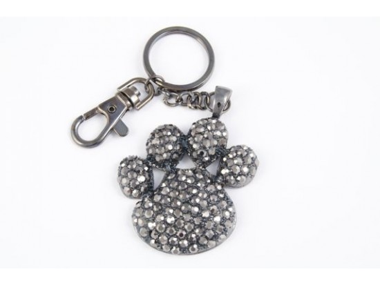 Paw Print With Hematite Crystals Key Chain
