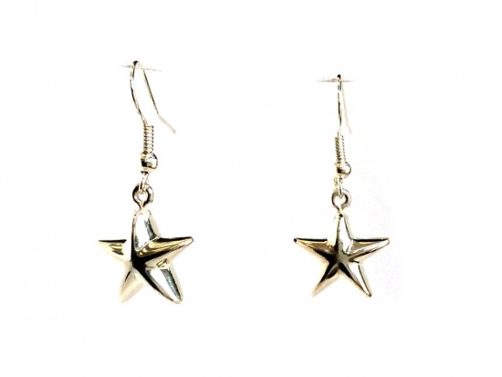 Silver Star Charm Hook Earrings